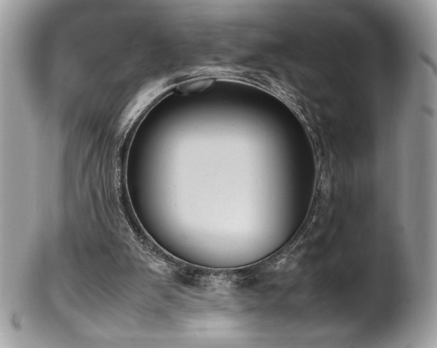 X0000102250103200807251331