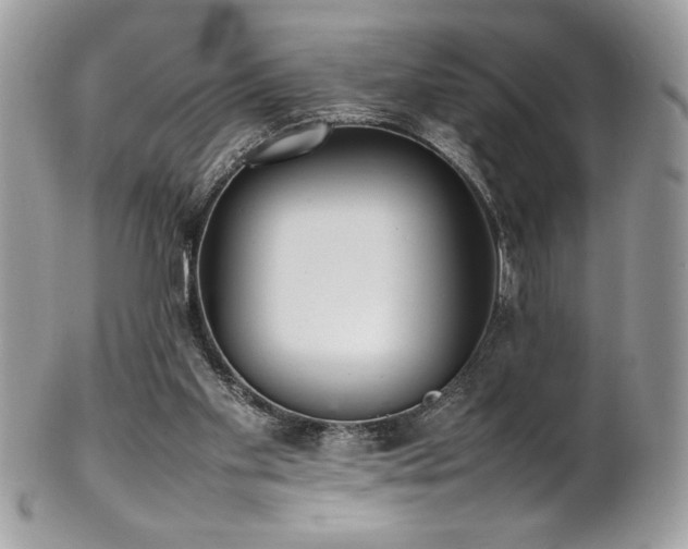 X0000102250109200807251331