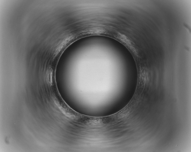 X0000102250110200807251331