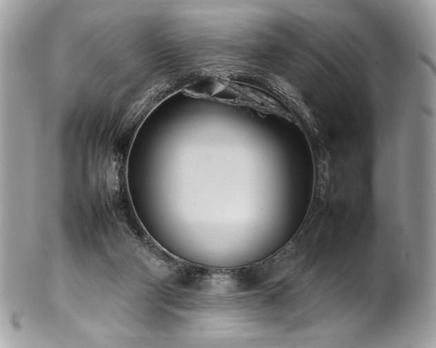 X0000102250114200807251331