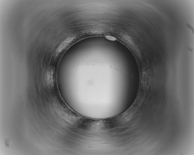 X0000102250116200807251331