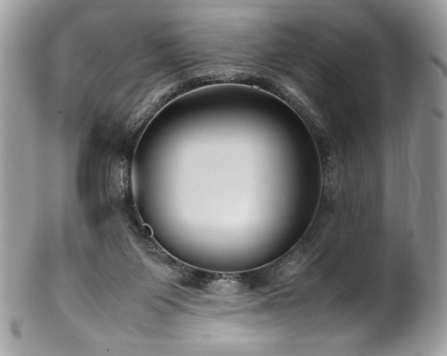 X0000102250119200807251331