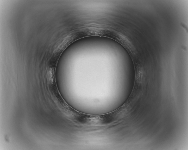 X0000102250121200807251331