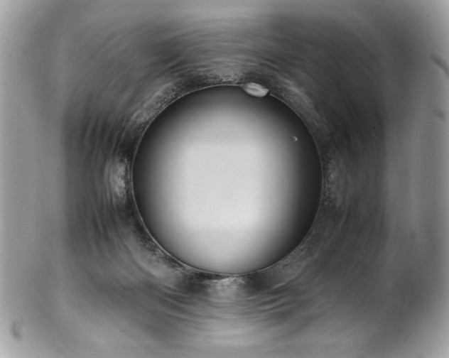 X0000102250122200807251331