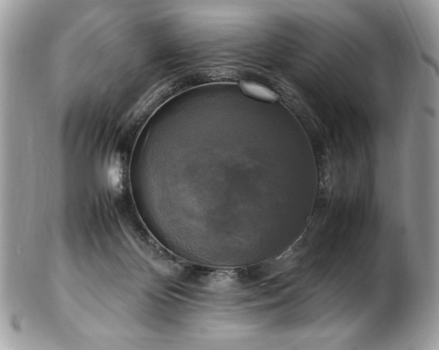 X0000102250124200807251331