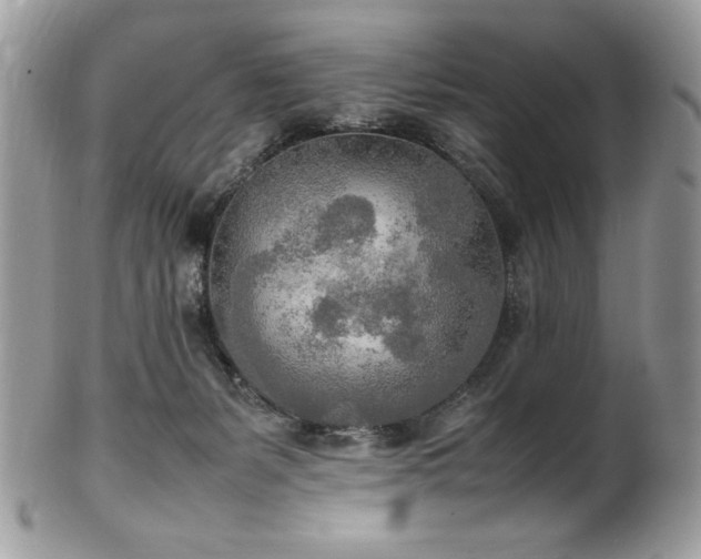 X0000102250127200807251331