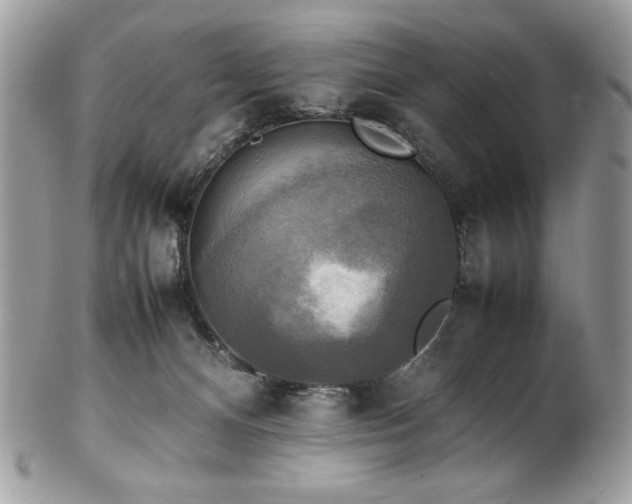 X0000102250128200807251331