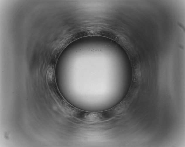 X0000102250129200807251331