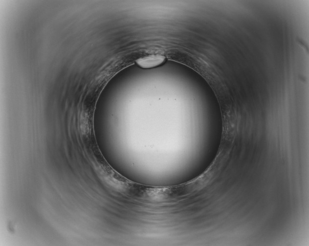 X0000102250136200807251331