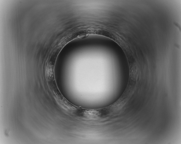 X0000102250137200807251331