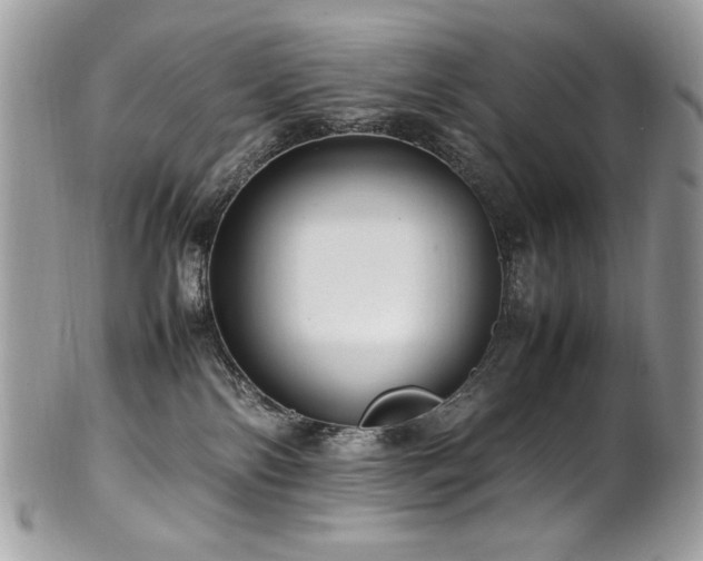 X0000102250138200807251331