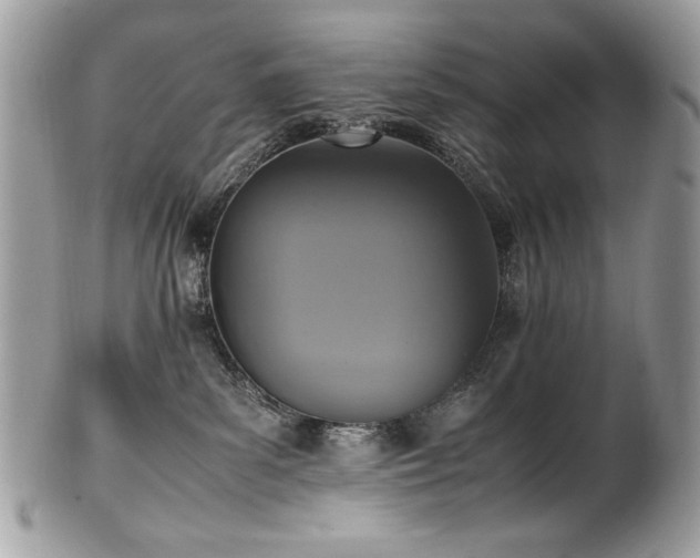 X0000102250139200807251331