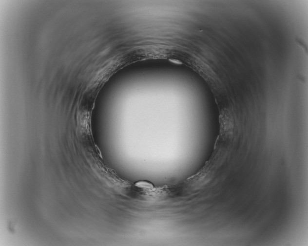 X0000102250141200807251331