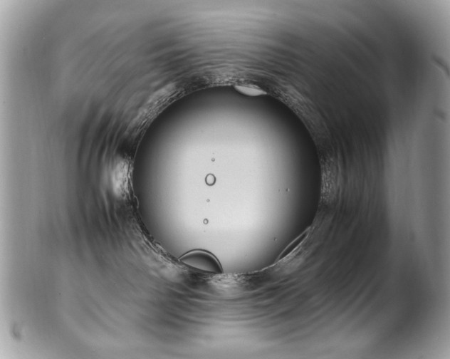 X0000102250142200807251330