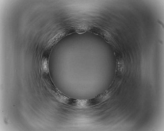 X0000102250143200807251330