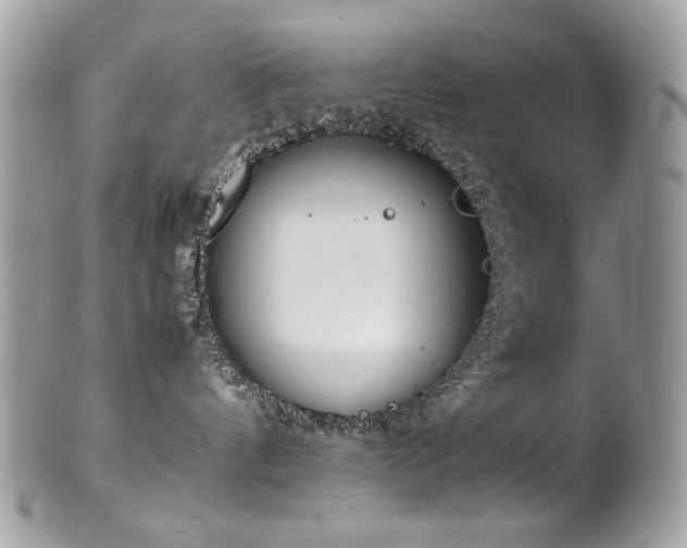X0000102250144200807251330
