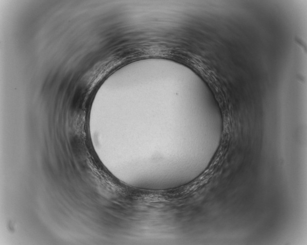 X0000102250146200807251330