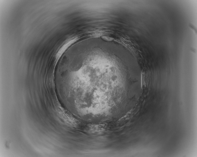 X0000102250147200807251330