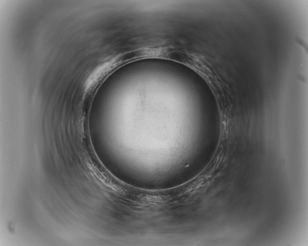 X0000102250149200807251330