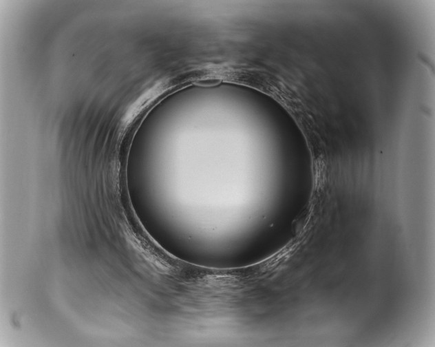 X0000102250150200807251330