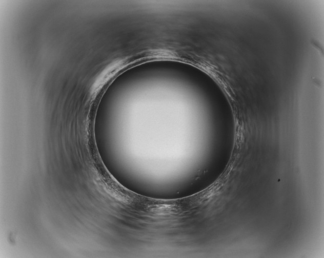 X0000102250151200807251330
