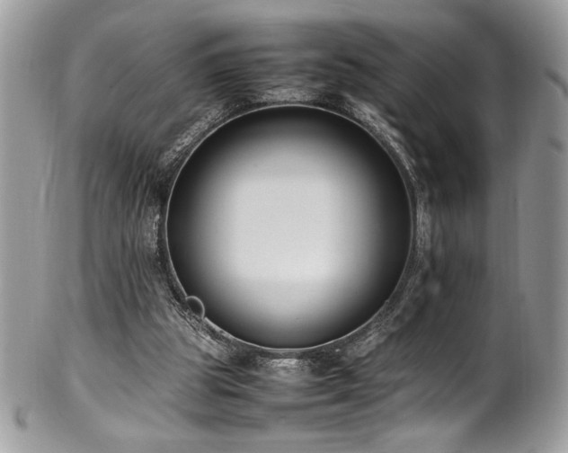 X0000102250153200807251330