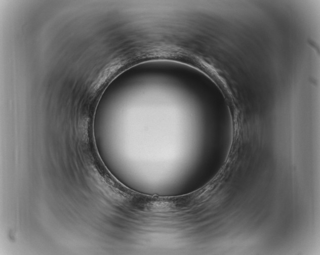 X0000102250154200807251330