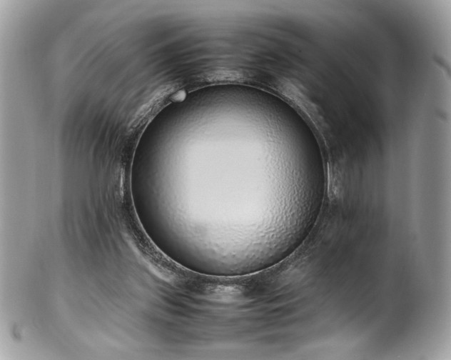 X0000102250157200807251330