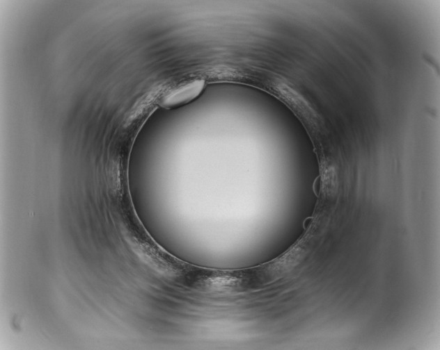 X0000102250158200807251330