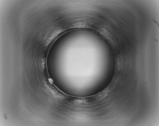 X0000102250160200807251330