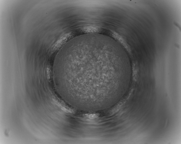 X0000102250161200807251330