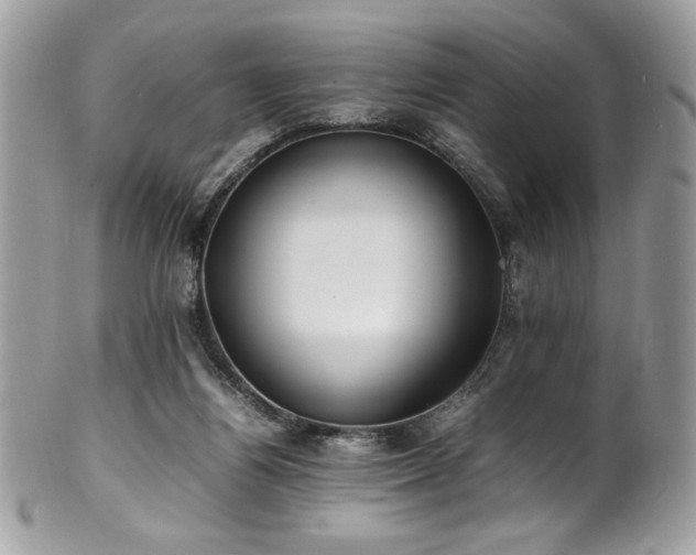 X0000102250164200807251330