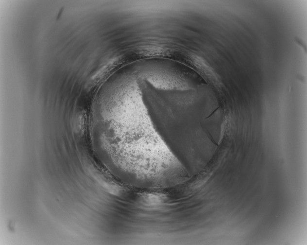 X0000102250165200807251330