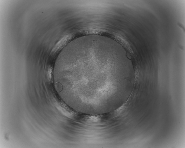 X0000102250166200807251330