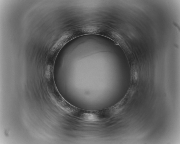 X0000102250167200807251330