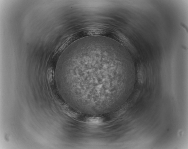 X0000102250169200807251330