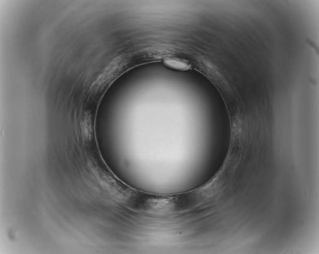 X0000102250170200807251330