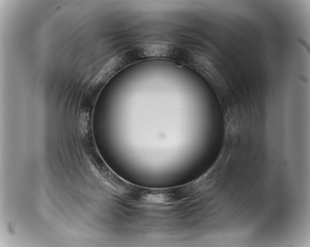 X0000102250171200807251330