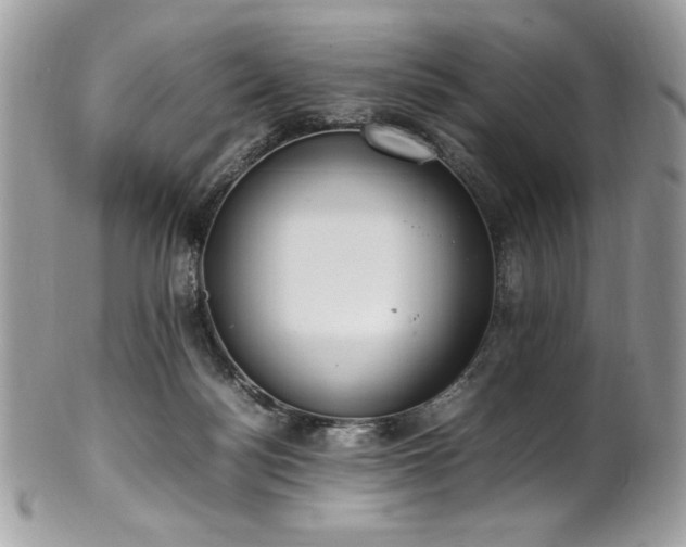 X0000102250172200807251330