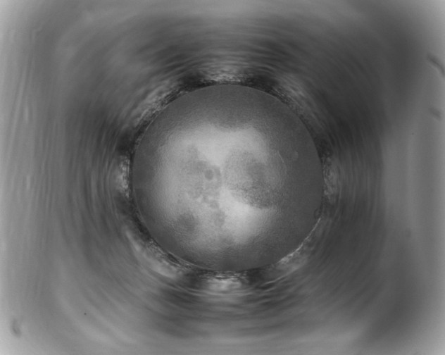 X0000102250175200807251330