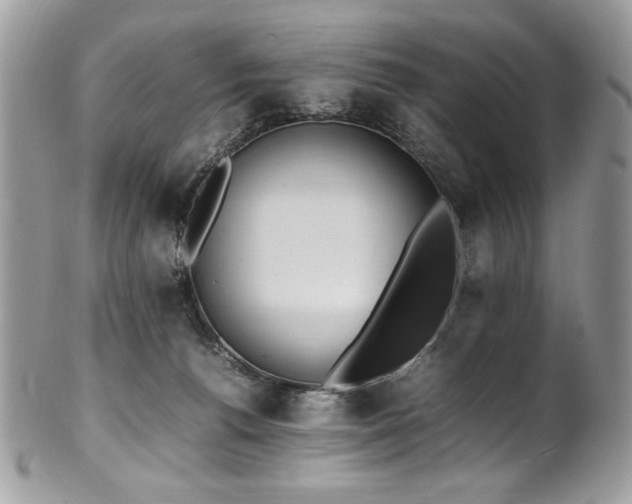 X0000102250176200807251330