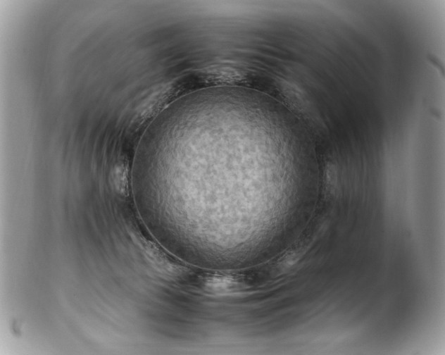 X0000102250177200807251330
