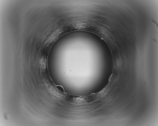 X0000102250180200807251330
