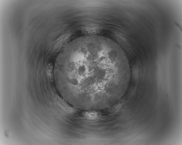 X0000102250181200807251330