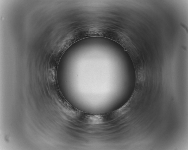 X0000102250183200807251330