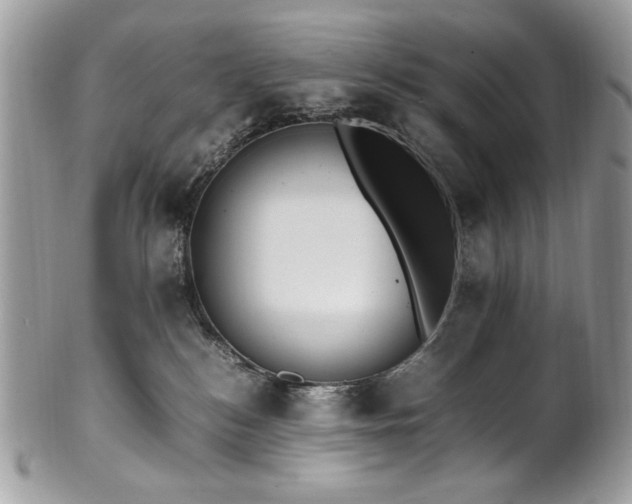 X0000102250184200807251330