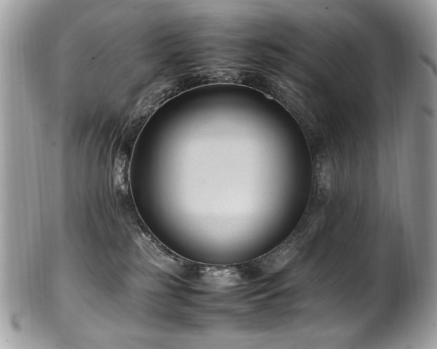 X0000102250185200807251330