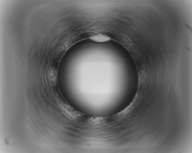 X0000102250186200807251330