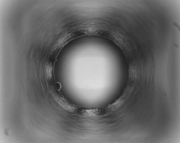 X0000102250188200807251330