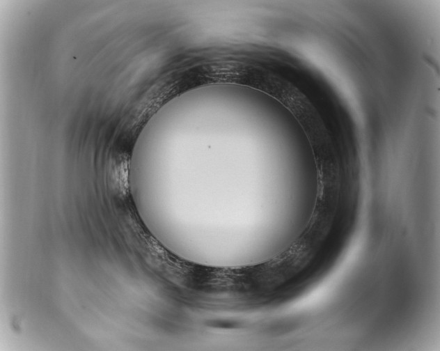 X0000102250190200807251330
